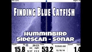 Finding Blue Catfish on Sonar with Catfish Guide Michael Littlejohn Lake Tawakoni [upl. by Pollerd]