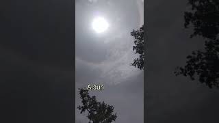 July 15 2024 A Sun Halo youtubeshorts subscribe viral kokrajhar w0w [upl. by Ressler]