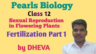 Reproduction in flowering plants  Fertilisation [upl. by Oicneserc]