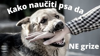 Kako naučiti psa da ne grize [upl. by Aynotahs]