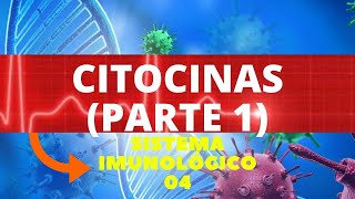 CITOCINAS PARTE 1  ENTENDA AS CITOCINAS DA IMUNIDADE INATA  IMUNOLOGIA [upl. by Anawait702]