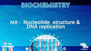 Ch5 part1 MB Nucleotide structure and DNA replication Biochemistry [upl. by Lahsram]