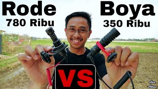 Rode videomicro VS Boya MM1 Review And Test RampT  Alan Albana [upl. by Doowle]