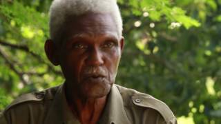 Apigua 30 ans de passion apiculture en Guadeloupe 1323 [upl. by Brenden892]