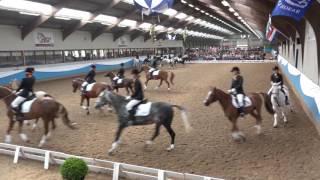 NK carrousel 2016  De Larense Ponycarrousel [upl. by Narual369]