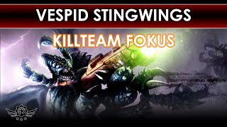 Vespiden Stingwings  Kill Team Fokus  WH Kill Team 2024 Deutsch [upl. by Ingaborg823]