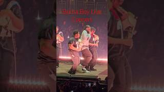 Burna Boy Live Concert liveconcert burna burnaboy burnaboyliveconcert [upl. by Enier]