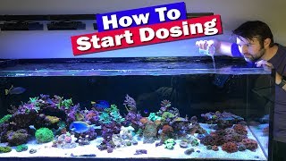 How to Start Dosing Your Reef tank [upl. by Amuh]