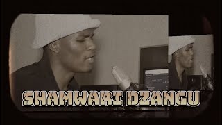 Hasso king boysShamwari dzangu  Studio session [upl. by Nonnad]