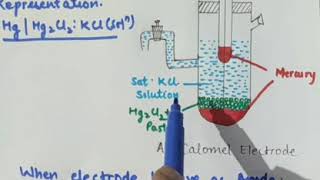 Calomel Electrode [upl. by Kcirdahc]