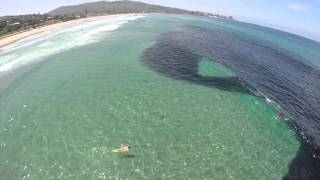 Anchovy school at Scripps Pier July 8 2014 [upl. by Alisha]