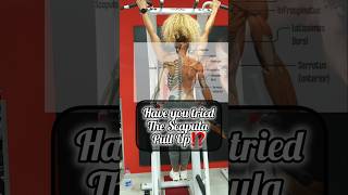 Scapular Pull ups‼️How to⁉️fitness health exercise strength strengthtraining backworkout [upl. by Sewoll]