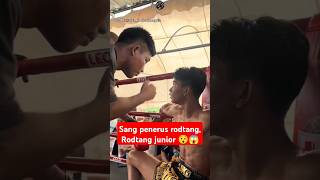 fix penerus rodtang sang rodtang junior 😯😍😮 boxing boxingskill fight mma bangghalyh [upl. by Artur270]