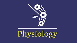 L2 physiology anemia and polycythemia [upl. by Jestude]