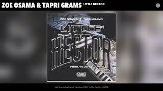 Zoe Osama amp Tapri Grams  Little Hector Official Audio [upl. by Nanda]