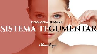 SISTEMA TEGUMENTAR  FISIOLOGIA HUMANA 2 [upl. by Castera508]