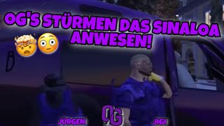 OG‘s stürmen das Sinaloa Anwesen 😳  Oktogramm  IMMORTAL [upl. by Bobinette]