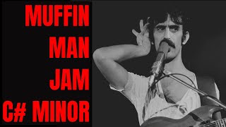 Frank Zappa Style Rock Jam Guitar Backing Track C Minor [upl. by Yusem]