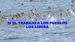 KARAOKE himno de Chimbote [upl. by Mettah937]