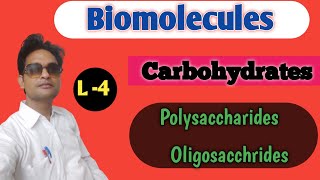 Carbohydrates  polysaccharides  Biomolecules ch9 [upl. by Barstow283]