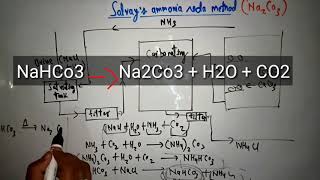 Solvays ammonia soda method class 11th [upl. by Gordy]