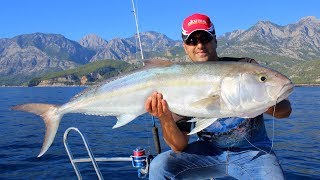 Dev Balıklardan Hayatımızın Dayağını Yedik  Defeated By Giant Amberjacks [upl. by Negrom]