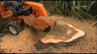 Stump Humper Stump Grinder [upl. by Erdda]