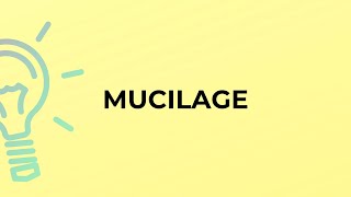 What is the meaning of the word MUCILAGE [upl. by Ical]