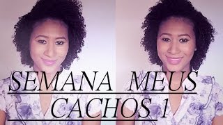 COMO DIVIDIR O CABELO SEM DEIXAR MARCAS  SEMANA MEUS CACHOS  FERNANDA MELLO [upl. by Hitchcock]