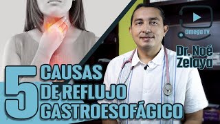 👨🏻‍⚕️REFLUJO GASTROESOFAGICO causas síntomas y tratamiento  Dr Zelaya [upl. by Htnamas]