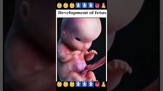 fetus👶growing in the womb।।child development in the womb🚼fetuswomb gynecologyshorts [upl. by Messing]