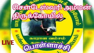 🔴LIVE⏩📡 காராளவம்சம் கலைக்குழு வள்ளிகும்மி பொள்ளாச்சி [upl. by Arlie446]