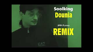 Soolking  Dounia SFN Platino Remix [upl. by Neilson]