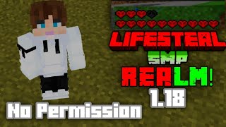 Join My NEW 118 Lifesteal SMP Realm No Permission  For Free  EnderLifesteal Realm [upl. by Cesar]