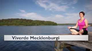 Ferienhaus Mecklenburgische Seenplatte Ferienhaus in MV Viverde Ferienhäuser [upl. by Wamsley286]