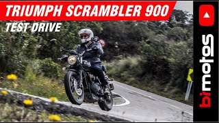 Triumph Scrambler 900 [upl. by Harihat]