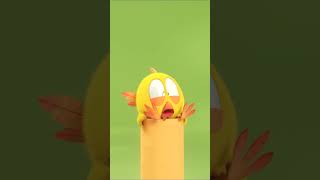 a little climbing Shorts chicky  Chicky Cartoon in English for Kids [upl. by Beckett]