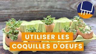 Utiliser les coquilles doeufs au jardin [upl. by Salkin794]