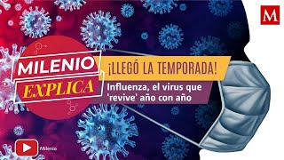 ¿Qué es la influenza cuáles son los síntomas y por qué hay que vacunarse  Milenio Explica [upl. by Crisey15]