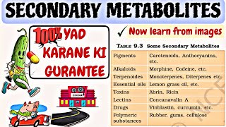 Secondary metabolites  Biomolecules  TRICK MNEMONIC TO LEARN [upl. by Kila]