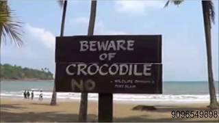 Andaman amp Nicobar Islanders Conflict with Crocodiles [upl. by Ile301]