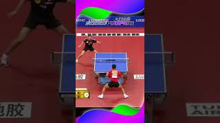 How to Flick Backhand from Zhang Zike 탁구 worldtabletennis pingpong shorts [upl. by Nnyladnarb]