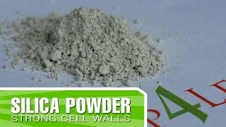 Organic Silica from Kelp4lesscom  Improve your plants structure and cell walls [upl. by Korman573]