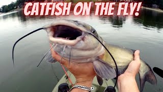 Channel Catfish on the Deceptive Diver Bass Fly  July 2022  The Fly Guy [upl. by Grani766]