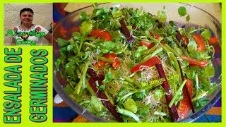 ¿Cómo hacer Ensalada de germen de alfalfa Receta saludableMi amiga Gaby [upl. by Adlemi858]