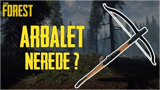 The Forest  Arbalet Nasıl Bulunur  Arbalet Nerede  The Forest Crossbow  2021 [upl. by Whallon299]