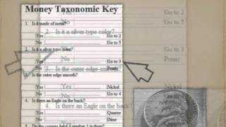 Dichotomous Key Tutorial [upl. by Dawson]