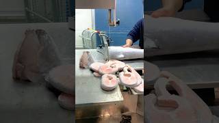 Salmon Fish Cutting Skills Whole Expect 🍣Salmonshorts [upl. by Cinom]