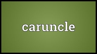 Caruncle Meaning [upl. by Hollie]