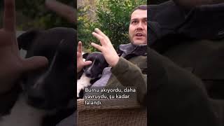 Köfte’yi kaybettik Moralim çok bozuk Sahiplenmiştim Bu video tanışma hikayemiz Belki ilham olur [upl. by Mamie]